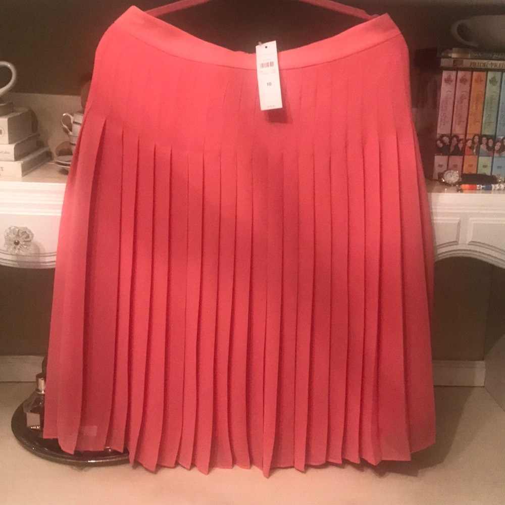 Ann Taylor Pleated Skirt